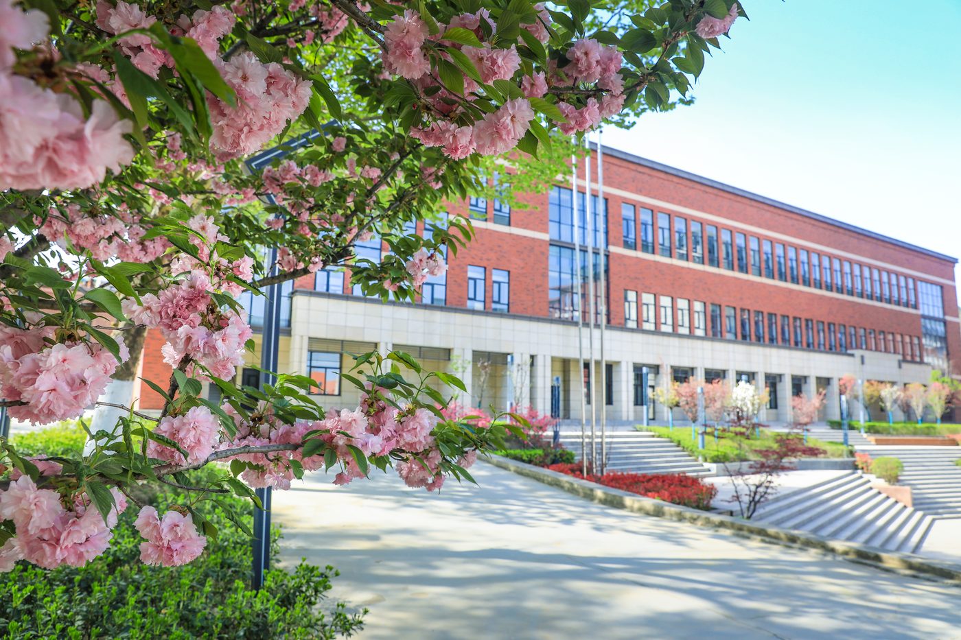 春日教学楼与樱花，校园环境优美 · 陕西单招集训校园实拍